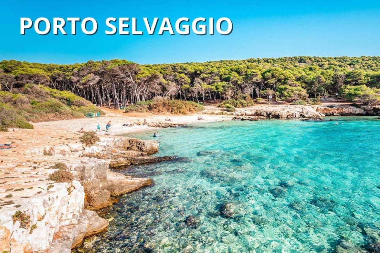 Delfino - Ampio Appartamento A 40 Metri Dalla Spiaggia Lido Conchiglia Zewnętrze zdjęcie