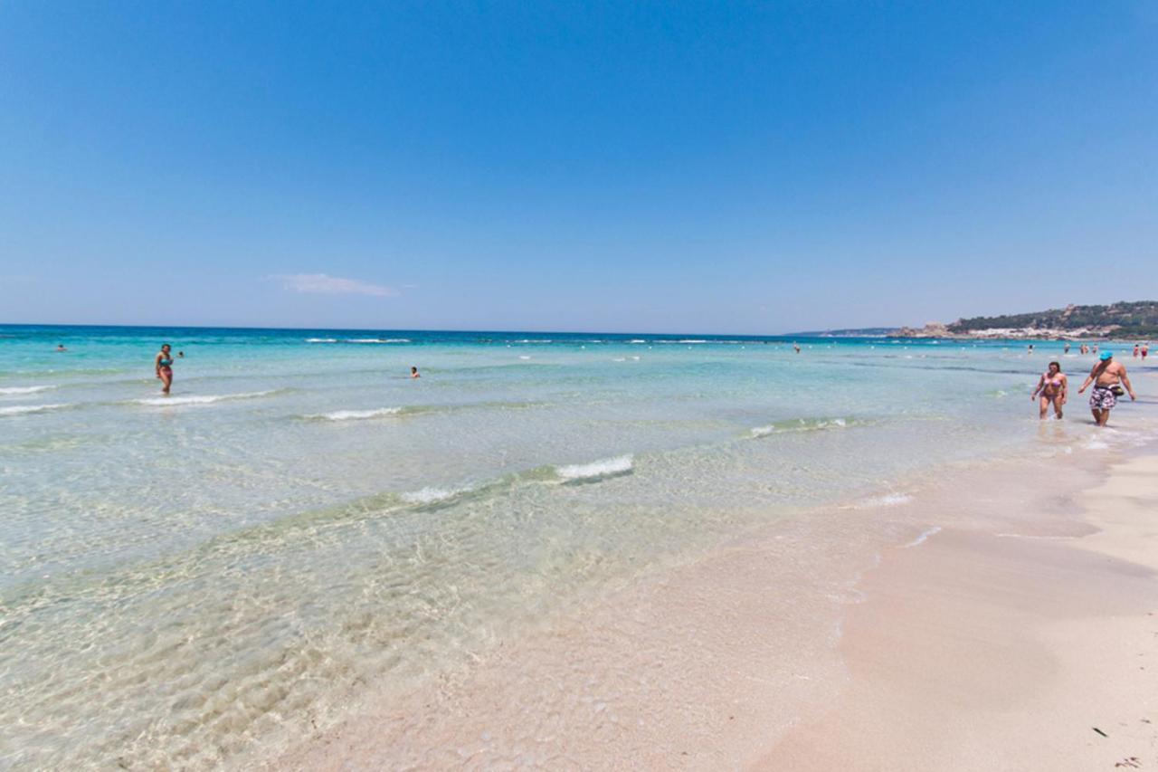 Delfino - Ampio Appartamento A 40 Metri Dalla Spiaggia Lido Conchiglia Zewnętrze zdjęcie
