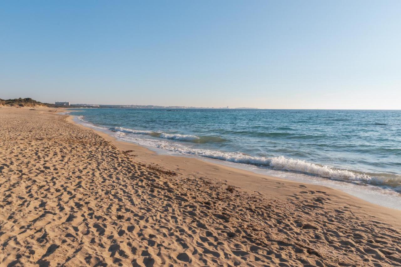 Delfino - Ampio Appartamento A 40 Metri Dalla Spiaggia Lido Conchiglia Zewnętrze zdjęcie